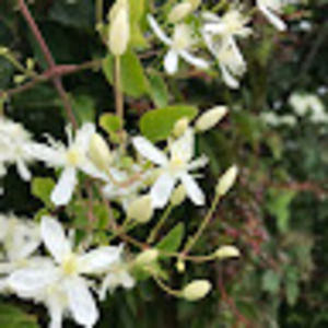 Meet your Posher, Marissa